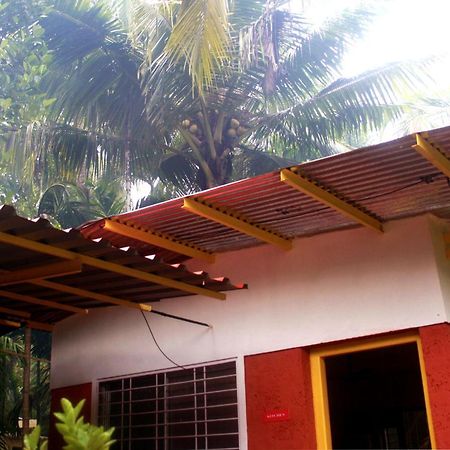 Anahat Cottages Diveagar Bagian luar foto